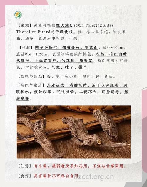 红大戟的功效与作用