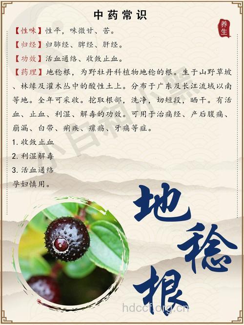 地稔根的功效与作用