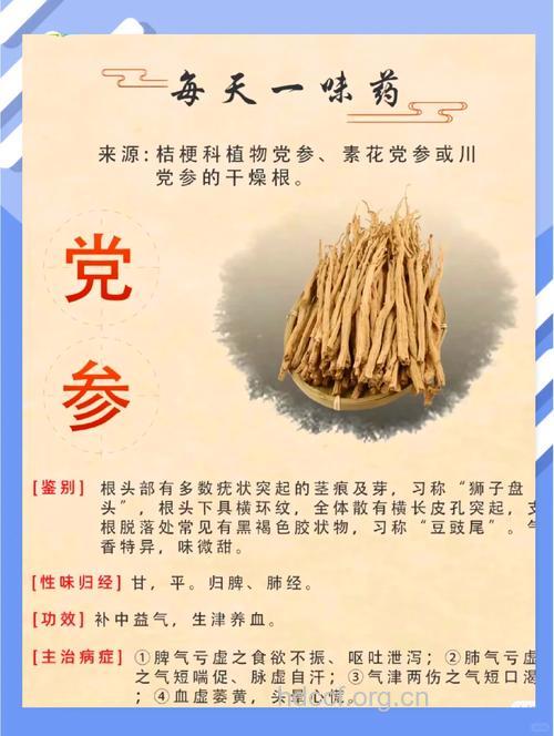 明党参的功效与作用