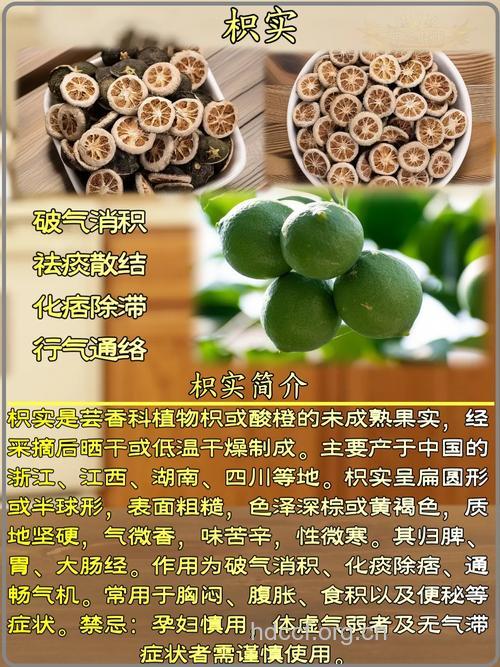 枳实的功效与作用