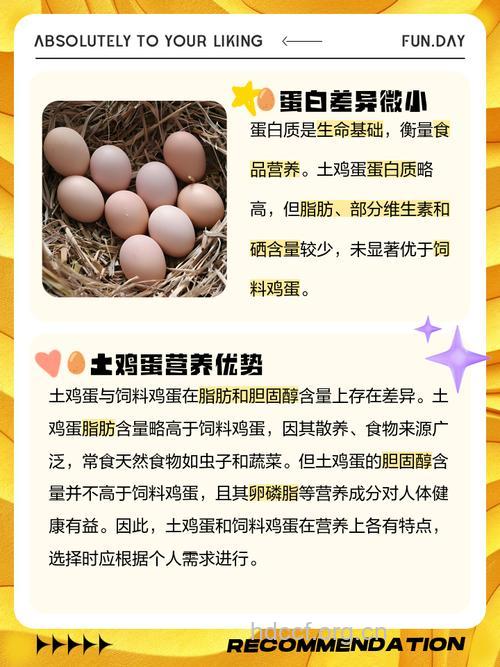土鸡蛋会比较有营养价值吗？