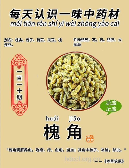 槐角的功效与作用