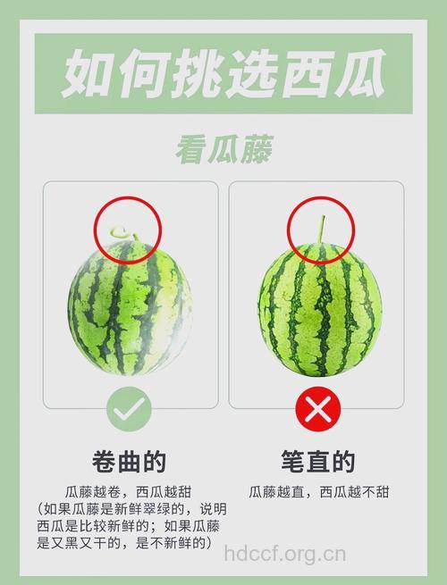 塑料纸西瓜 怎么才能挑选好西瓜