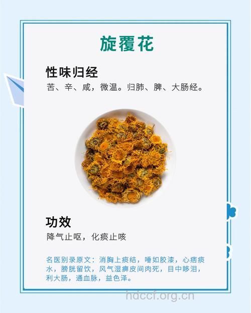 旋覆花的功效与作用