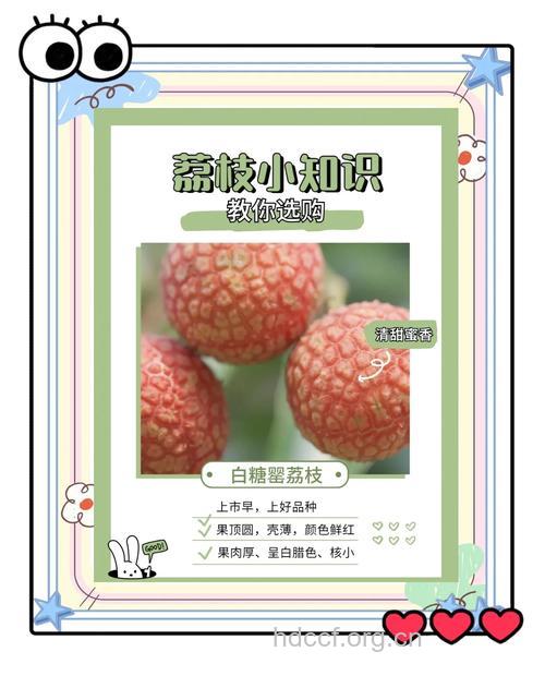 夏季如何挑选新鲜的荔枝？