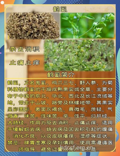 鹤虱的功效与作用