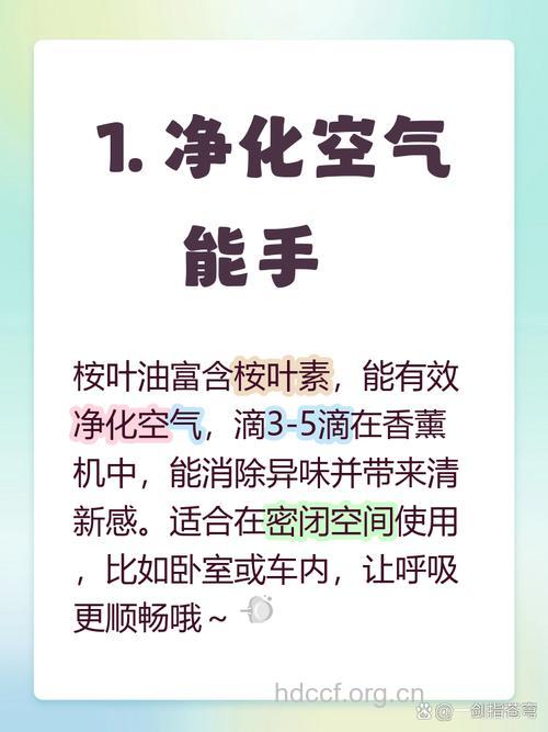 桉叶油的功效与作用