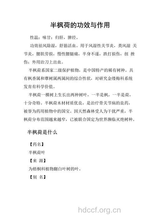 半枫荷的功效与作用