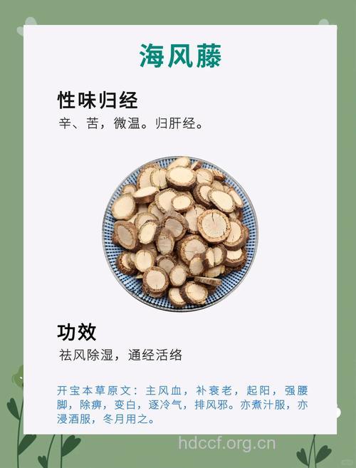 广东海风藤的功效与作用