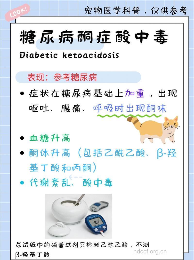 全面诊断糖尿病酮症酸中毒
