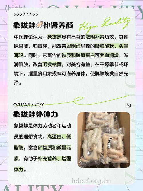 蚌的功效与作用