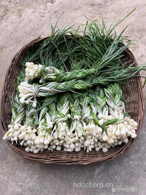 白脂麻的功效与作用