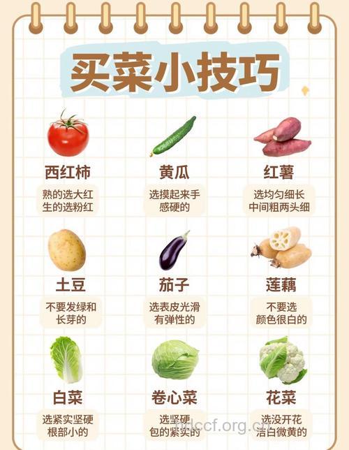 买蔬菜的6大注意