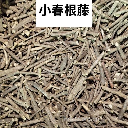 阿利藤的功效与作用 阿利藤图片