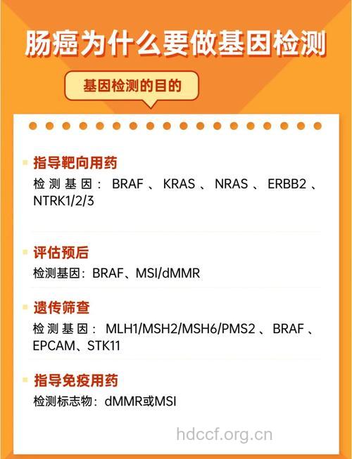 治结直肠癌前需要先查基因