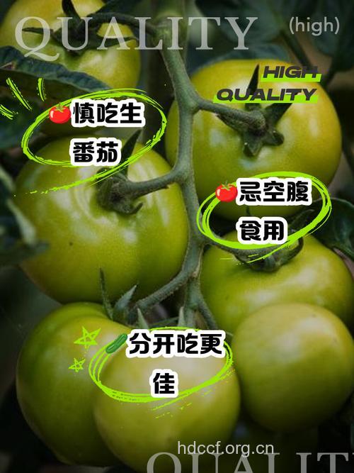 日常吃西红柿的5大禁忌
