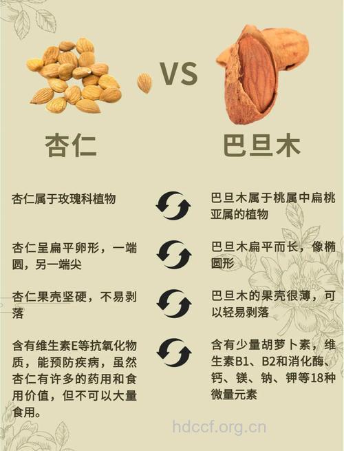 巴旦杏仁的功效与作用 巴旦杏仁图片