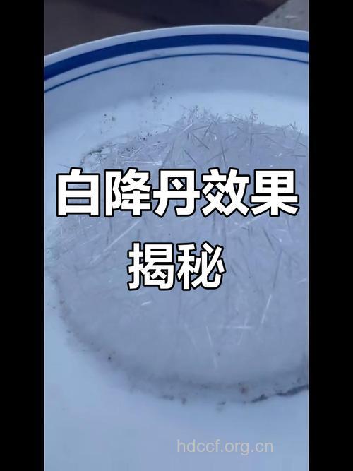 白降丹的功效与作用 白降丹图片
