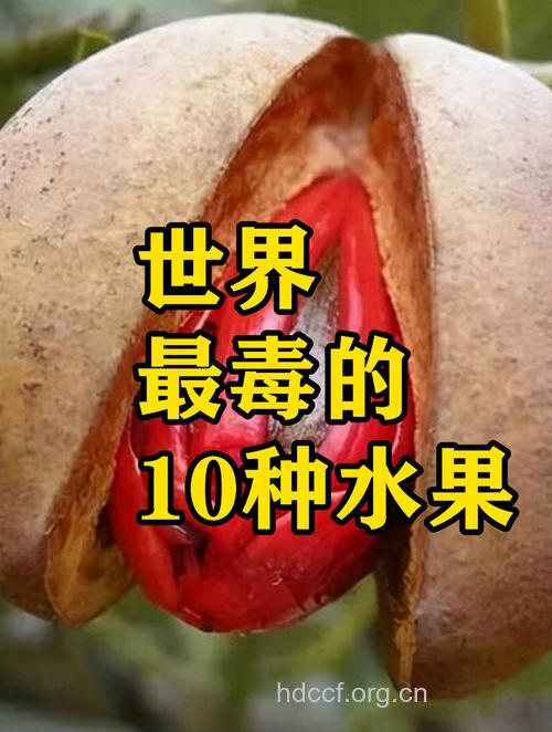 到底哪些水果有毒呢？