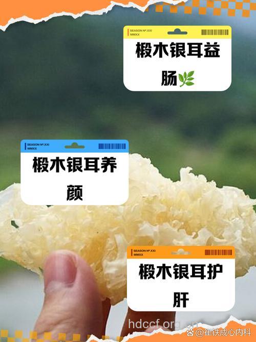 白椴的功效与作用 白椴图片