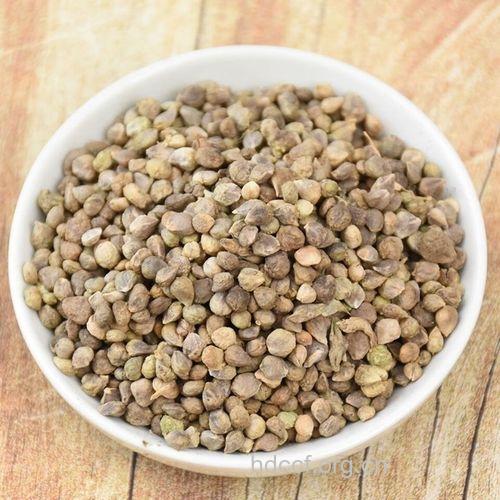 菠菜子的功效与作用 菠菜子图片