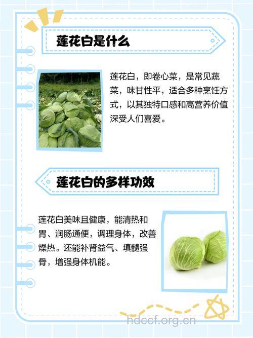 白荷花露的功效与作用 白荷花露图片