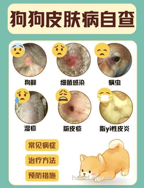 宠物咬伤会导致白癜风吗