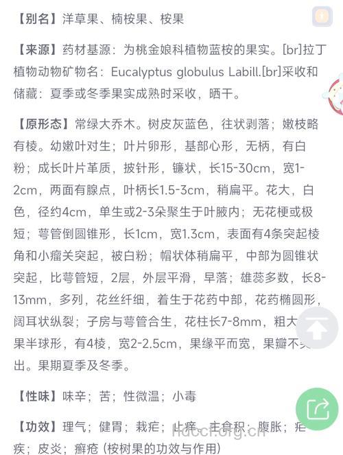 桉树果的功效与作用 桉树果图片