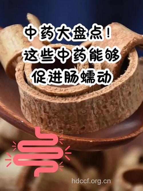 直肠脱垂的药膳偏方