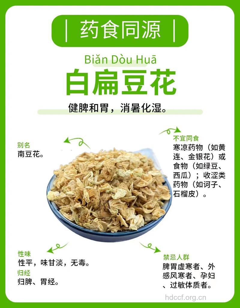 扁豆花的功效与作用 扁豆花图片