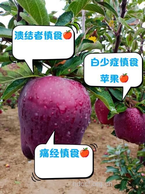 哪些人不宜吃苹果