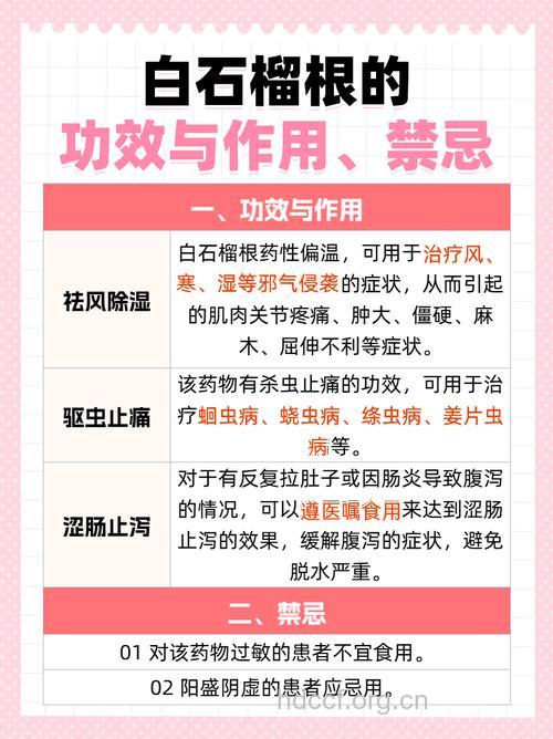 白石榴根的功效与作用