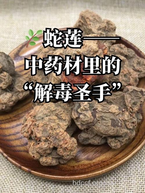 伴蛇莲的功效与作用