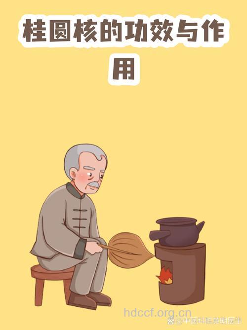 多吃桂圆 有助缓解健忘失眠