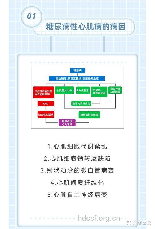 糖尿病心肌病治疗