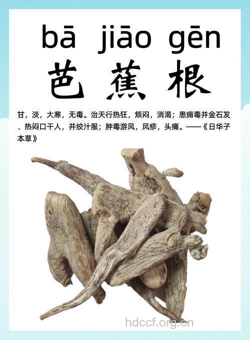 芭蕉根的功效与作用