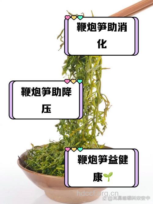 爆仗竹的功效与作用