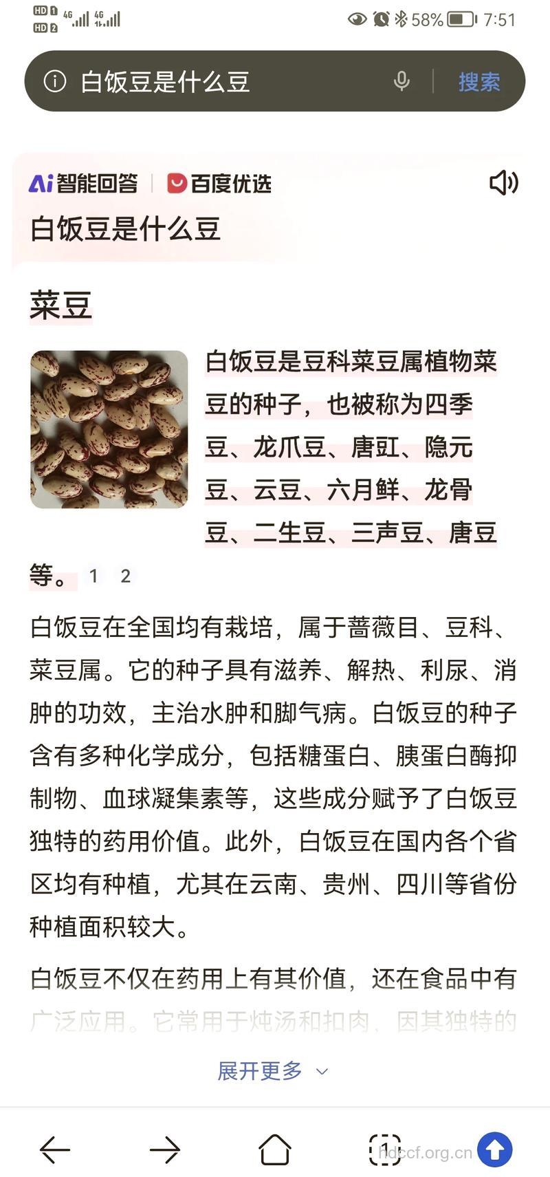 白饭豆的功效与作用
