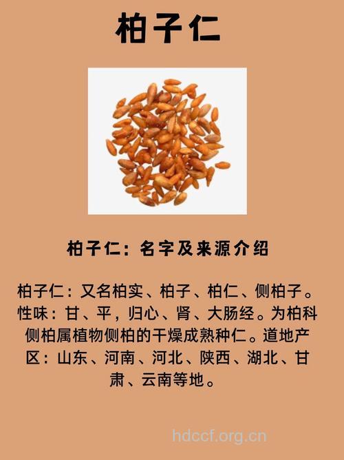 柏子仁的功效与作用