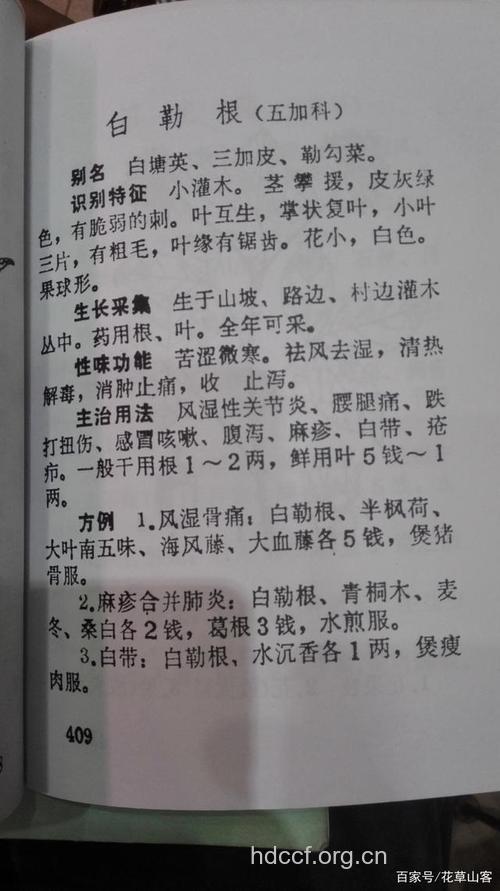 白勒的功效与作用