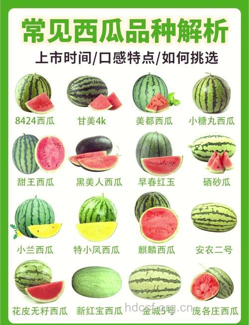 夏季这六类人最好少吃西瓜