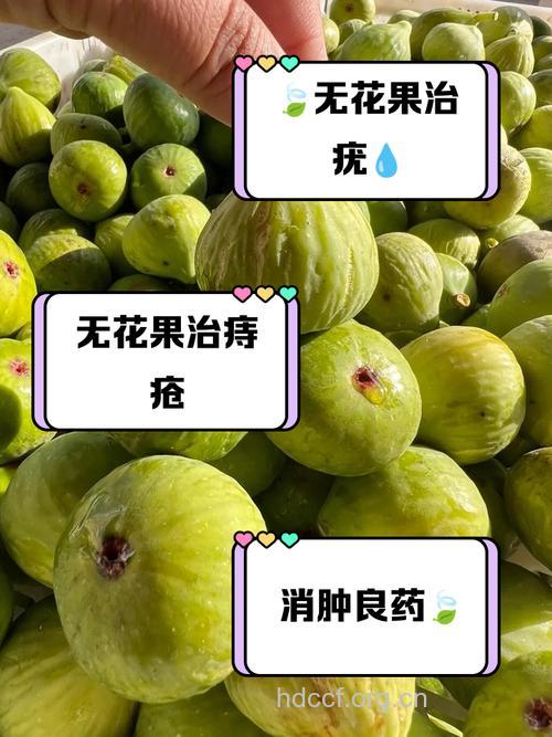 白花果的功效与作用