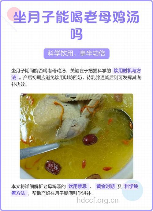 产妇适合喝老母鸡汤吗
