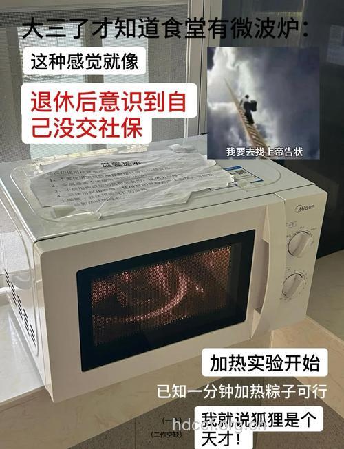 微波炉热粽子的小窍门