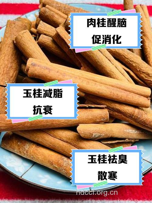 白桂的功效与作用