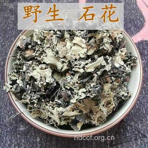 白石花的功效与作用