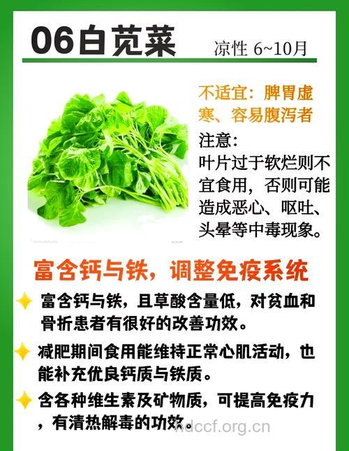 白苋的功效与作用