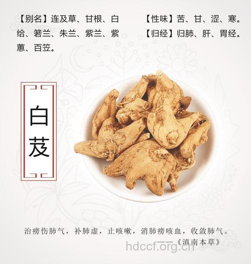 白补药的功效与作用