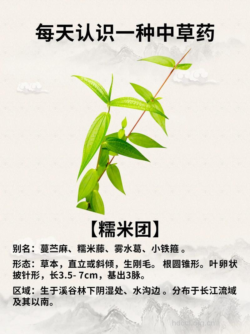 薄柱草的功效与作用