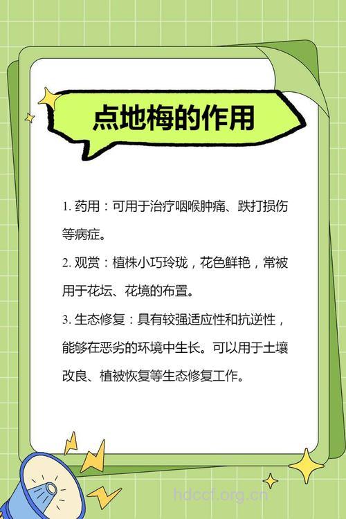 北方点地梅的功效与作用